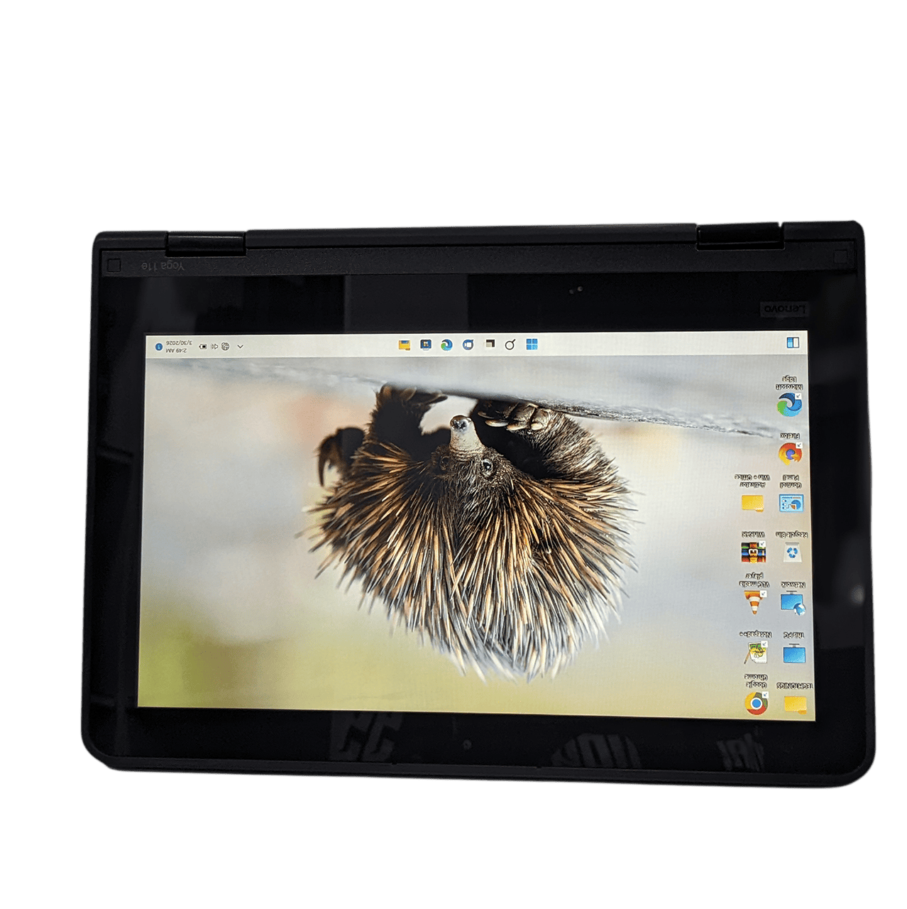 Lenovo Thinkpad Yoga 11e Touch Image 4